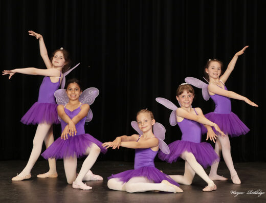 American Dance Institute Magnolia
