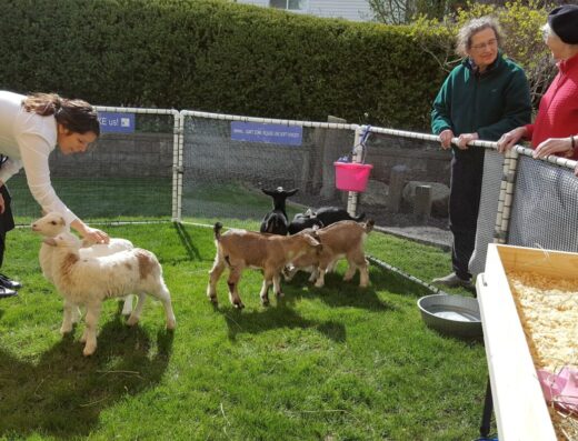 Animal Encounters