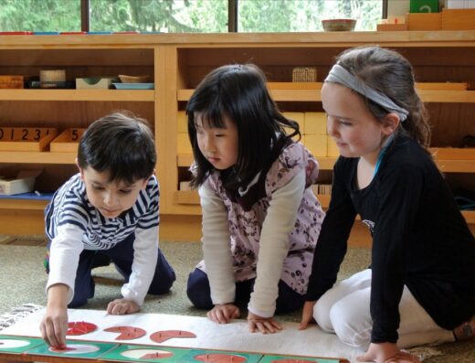 Bellevue Montessori School