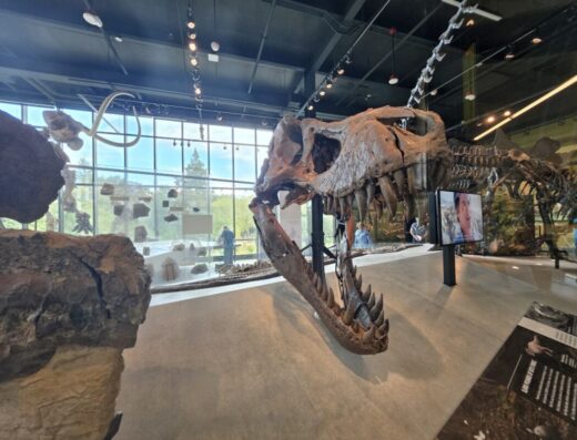Burke Museum of Natural History and Culture