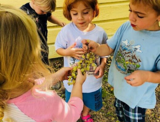 Butterfly House Montessori