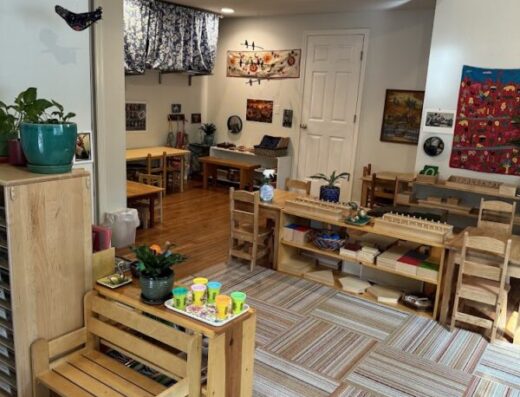 Community Montessori School