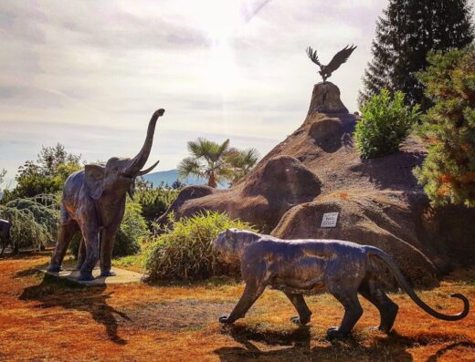 Cougar Mountain Zoo