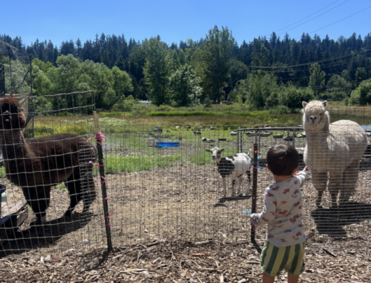 Cuteness Attack Farm