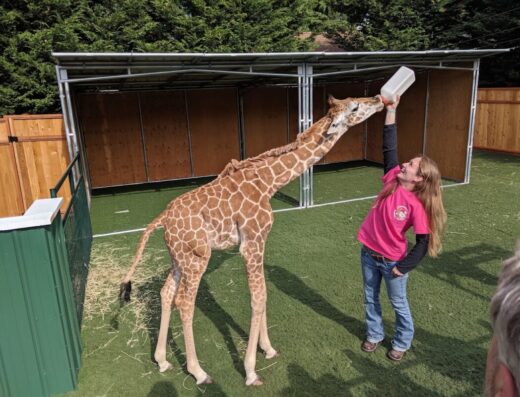 Debbie Dolittle’s Petting Zoo