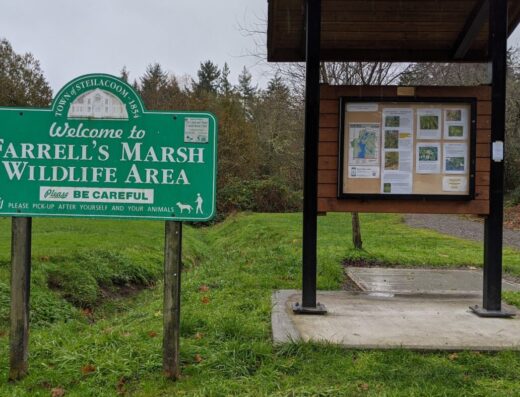 Farrell’s Marsh Wildlife Area