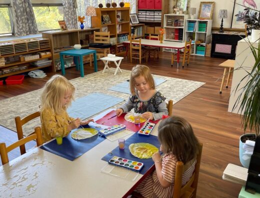 Franciscan Montessori Earth School and St. Francis Academy