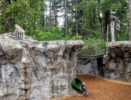 Kids Trek at Northwest Trek