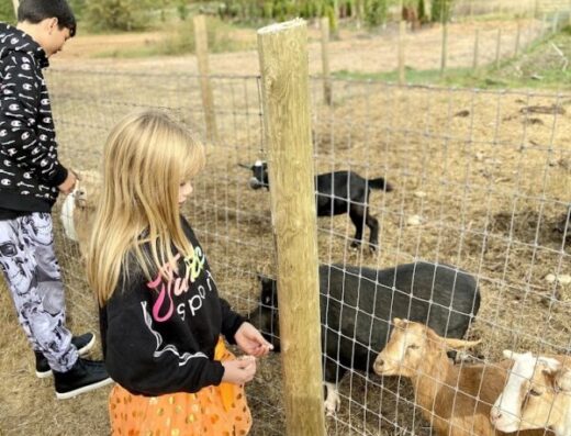 Legacy Farm