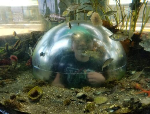 Marine Life Center