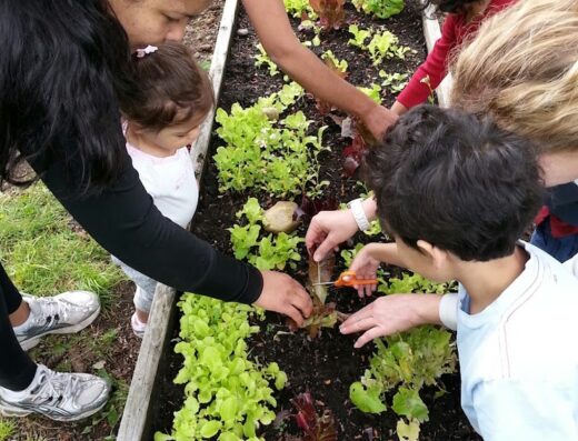 Natural Start Preschool
