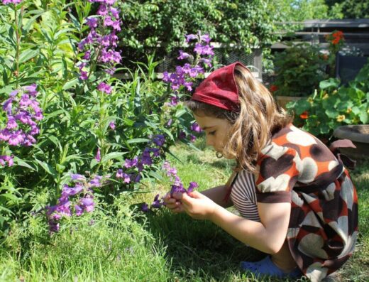 New Farm Montessori