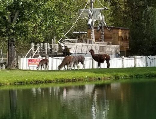 Old McDebbie’s Farm / Jim’s U-Fish