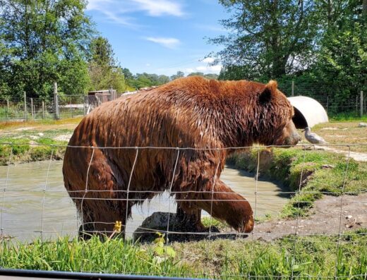 Olympic Game Farm Inc.