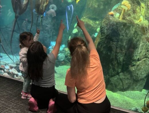Pacific Seas Aquarium