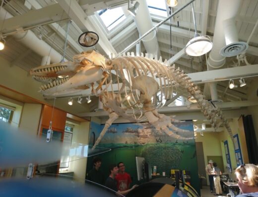 Port Townsend Marine Science Center