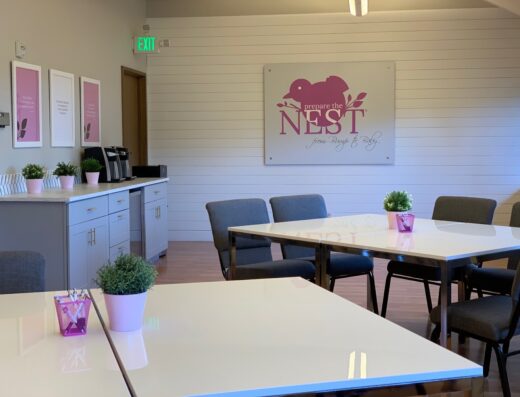 Prepare the Nest Childbirth & Parenting Classes – In-person & Online Classes Available