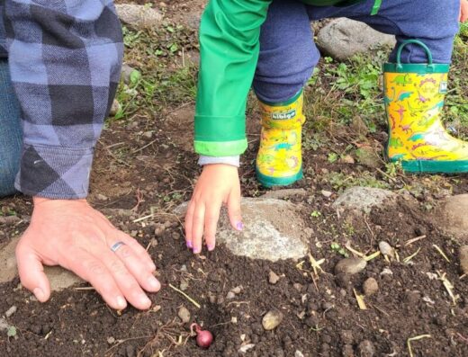 Scatter Creek Montessori