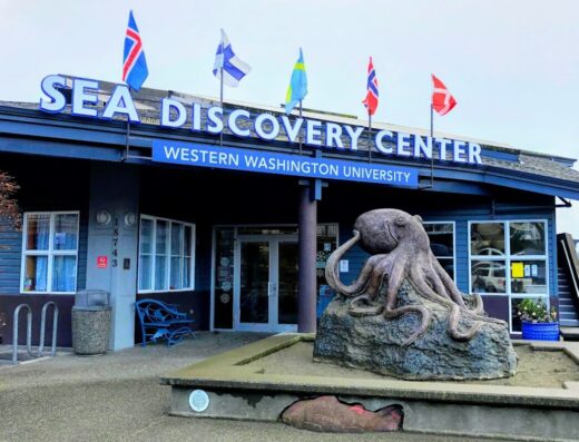 SEA Discovery Center