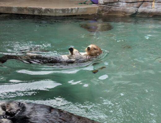 Seattle Aquarium