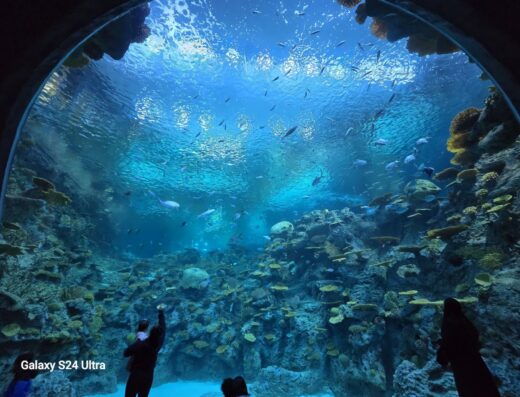 Seattle Aquarium Ocean Pavilion