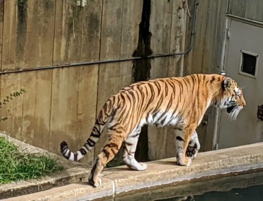 Smithsonian National Zoological Park