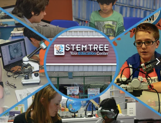Stemtree Kirkland