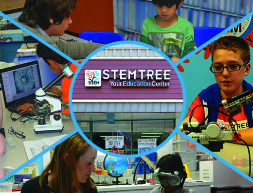 Stemtree of Redmond
