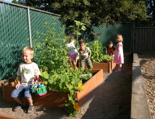 Sunshine Montessori Preschool