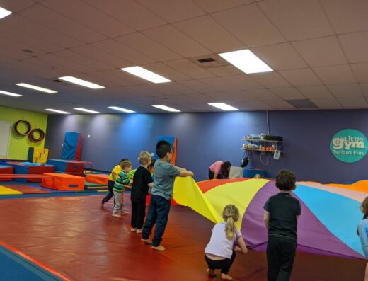 The Little Gym of Everett