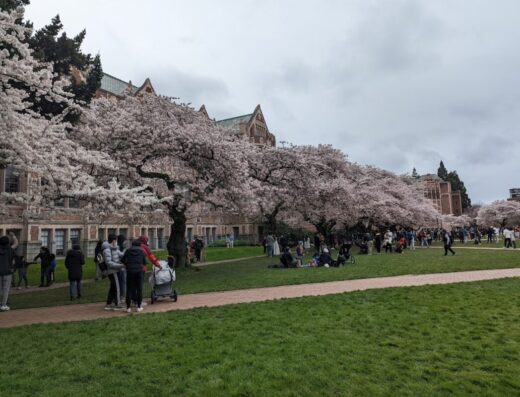University of Washington: College of Education