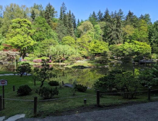 Washington Park Arboretum