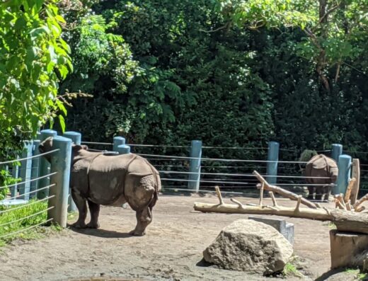 Woodland Park Zoo