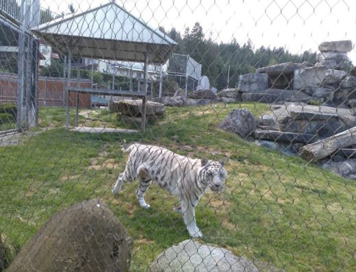 Zoological Society of Washington
